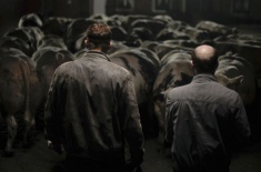 Bullhead (2011)