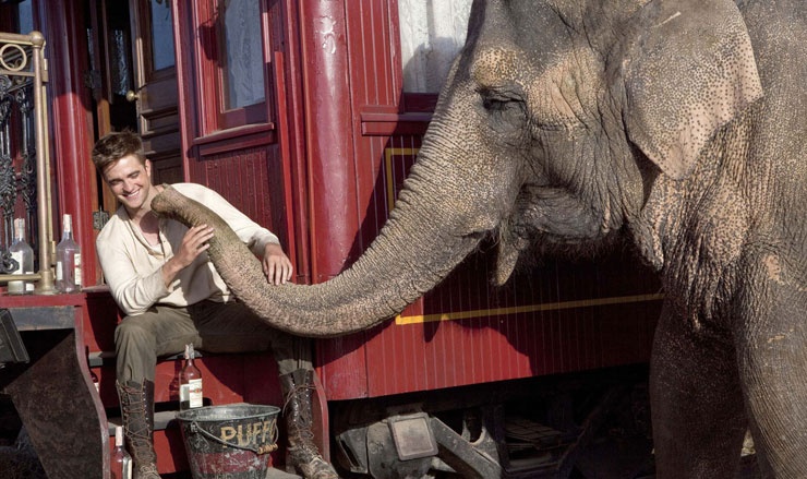 Water for Elephants (2011) : Robert Pattinson
